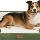Comfort Expression Large Dog Beds Waterproof Orthopedic Foam Dog Sofa Beds Comfy Pet Bed with Washable Removable Cover & Non-Slip Bottom(Large,Light Green)