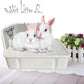 kathson Rabbit Litter Box,Bunny Potty Training,Plastic Square Small Animal Toilet,for Hamster Chinchilla Ferret Hedgehog Gerbil(White)