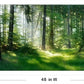 Morning Sunlight Forest Large Stretched Canvas Wall Art for Living Room Bedroom Home,Mordern Woods Scenery Picture Print Painting Decor Artwork,Green Landscape Gallery Wrapped Gift,Inner Frame(24x48)