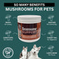 Immune Support Powder Food Topper, Large 6.35oz, Proprietary Organic Mushroom Blend, 300g
