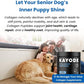 Collagen Puptides - Collagen for Dogs | Premium Dog Joint Supplement | 2X The Amount As Liquid Droppers | Great for Senior & Adult Dogs. Includes Omega 3.