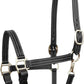 Triple Stitch Leather Horse Halter, Adjustable Design, Fancy Stitching, Solid Brass Hardware