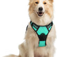 rabbitgoo Dog Harness No Pull with 2 Leash Clips, Adjustable Soft Padded, Reflective Oxford No Choke Pet Vest with Easy Control Handle for Medium Sized Dogs, Turquoise, M