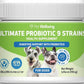 Pet Wellbeing - Ultimate Probiotic 9 Strains for Cats and Dogs - Natural Support for Digestion and Urinary Tract Health 160 Grams.