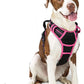 rabbitgoo Dog Harness No Pull with 2 Leash Clips, Adjustable Soft Padded, Reflective Oxford No Choke Pet Vest with Easy Control Handle for Large Dogs, Black & Hot Pink, L