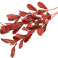 2-Pack 12 Inch Aquarium Silk Aquarium Plants, Artificial Plastic Plant for Small Tank, Goldfish, Fish Hides (Red, 12 Inch)