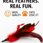 Cat Wand Toy Feather Sticks - 5 Piece Interactive Wands Toy Set with Feathers, Durable Spring Design - Perfect for Engaging Playtime Fun for Kittens and Cats - Cat Toys for Indoor Cats