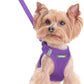 rabbitgoo Dog Harness Small Sized and Leash Set, Step in Soft Light Puppy Vest, Breathable Mesh Pet Harness, Reflective for Safe Outdoor Walking, Purple XXS