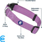 Blueberry Pet Essentials Matching Medium Dog Collar | Adjustable Classic Solid Color Nylon Dog Collars for Medium Dogs | Purple Dog Collar for Medium Dogs