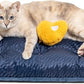 FUNNY FUZZY 2 in 1 Dog Bed Crate Pad Mat, Washable Reversible Pet Floor Mats,Fluffy Kennel Pad for Small Large Sized Dog,Indoor Cats,Sleeping Mattress, 23.6" × 17.9", Midnight Blue