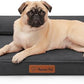 Chew Proof Dog Bed, 3" Memory Foam Dog Bed for Small and Medium Dogs, Removable and Washable Microsuede Cover, Waterproof Liner, Nonskid Bottom, 35x23 Inches M Dark Grey