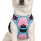 rabbitgoo Dog Harness No Pull with 2 Leash Clips, Adjustable Soft Padded, Reflective Oxford No Choke Pet Vest with Easy Control Handle for Puppy, Pink & Blue, XS