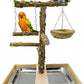 Tfwadmx Bird Perch Natural Wood Stand Toy Parrot Play Stand Platform and Hanging Bird Nests Bird Cage with Removable Tray and 2 Stainless Steel Cups for Parakeets Canaries Cockatiels Conure Lovebirds