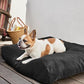 K9 Ballistics Tough Rectangle Pillow XL Dog Bed - Removable Cover, Washable, Durable & Water Resistant Dog Bed Made for X-Large Dogs 54"x38", Blue Quartz