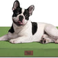 Outdoor Dog Bed for Medium Dogs, Waterproof Dog Bed for Medium Dogs Cats, Orthopedic Egg Crate Foam Pet Bed with Washable and Removable Oxford Cover, Light Green
