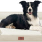 Comfort Expression Waterproof Dog Beds for Large Breed Dogs, Large Dog Beds Orthopedic Foam, Comfy Pet Bed Sofa with Washable Removable Cover & Non-Slip Bottom(Beige)