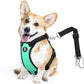 Dog Seat Belt, Safety Vest Dog Car Harness with Adjustable Buckle Dog Seat Belt for Vehicle Nylon Pet Safety Seat Belts Heavy Duty(M, Lake Blue)