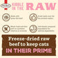 Primal Kibble in The Raw, Freeze Dried Cat Food, Beef, Scoop & Serve, Made with Raw Protein, Whole Ingredient Nutrition, Crafted in The USA, Dry Cat Food, 24 Ounce (1.5 lb) Bag