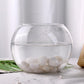 DomeStar 2.7lb White River Rocks, Polished Pebbles Decorative White Stones for Landscaping Vase Filler Fish Tank Aquariums Garden Outdoor and Indoor DIY