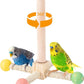 Rotating Bird Perches Toy, Interactive Spinning Parrot Parakeet Toys, Wooden Exercise Stand Bird Cage Accessories for Budgies,Cockatiels,Small Birds