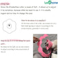 Cat Recovery Collar - Cute Flower Neck Cat Cones After Surgery, Adjustable, Surgery Recovery Elizabethan Collars for Kitten Cats Puppy Rabbits M Size (2pcs)