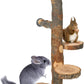 YKD Chinchilla Large Hanging Wooden Rotating Platform - Small Animals Natural Fruit Wood Standing Platform - Squirrel Suger Glider Platform - Bird Perch Platform