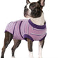 Kuoser Dog Surgery Recovery Suit for Female Male Dogs, Stripes Spay Neuter Anti-Licking Dog Onesie, Abdominal Wounds Surgical Suit Snugly Pet Collar Alternative Post Surgery Vest Bodysuit, Purple M