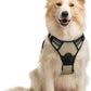 rabbitgoo Dog Harness No Pull with 2 Leash Clips, Adjustable Soft Padded, Reflective Oxford No Choke Pet Vest with Easy Control Handle for Medium Sized Dogs, Beige, M
