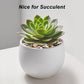 River Rocks, Decorative Ornamental Pebbles,Garden Landscaping Stones,Gravel Filler for Home Decoration Flower Bed Fish Tank Plants Vases Succulents