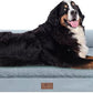 Large Dog Bed Orthopedic Washable, Big Large XXXLarge Dogs, Orthopedic Grey Extra Dog Bed with Waterproof Cover and Removable Egg Foam, Couch Bed Bolster