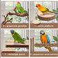 Parrot Perch Bird Perch Stand Set Natural Wild Wood Grape Sticks Paw Grinding Fork Parakeet Climbing Standing Branches Toys Cage Accessories for Conure,Cockatiels Lovebirds,Budgies Chewable 6PC