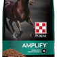 Purina, Amplify Equine, High-Fat Horse Supplement for Maintenance, Breeding, & Performance Horses, 50 lbs