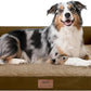 Extra Large Dog Bed-Orthopedic Waterproof XL Dog Bed for XLarge Extra Big Dogs - Foam Couch Sofa Washable with Removable Cover-Brown