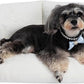 Hollypet Fluffy Plush Pet Cat Couch Soft Calming Pet Sofa Beds for Medium Small Cats and Dogs, White