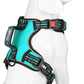 PoyPet No Pull Dog Harness, No Choke Front Clip Reflective Dog Vest with Soft Padded Vertical Handle, 3 Leash Attachments for Small Medium Large Dogs (Mint Blue,L)