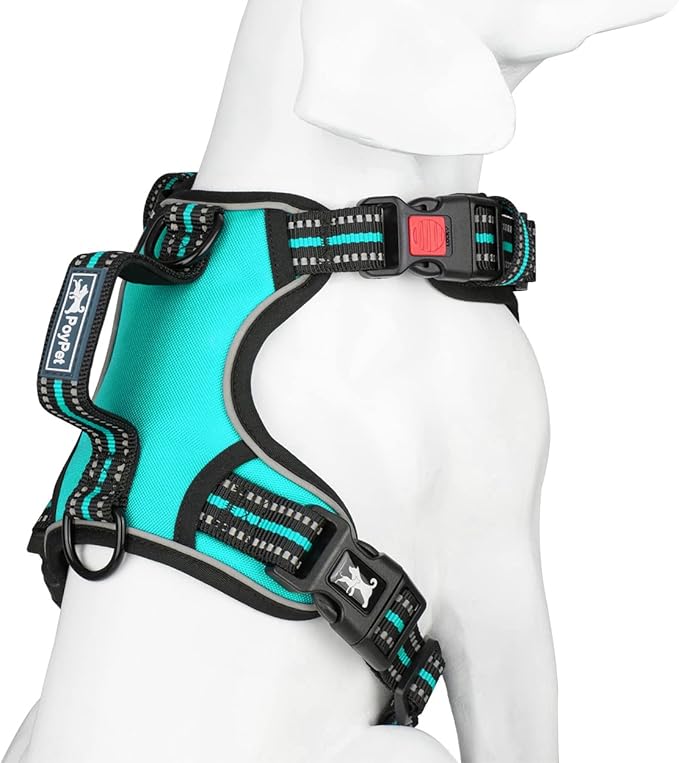 PoyPet No Pull Dog Harness, No Choke Front Clip Reflective Dog Vest with Soft Padded Vertical Handle, 3 Leash Attachments for Small Medium Large Dogs (Mint Blue,L)