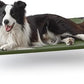 Love's cabin Elevated Cooling Dog Bed for Large Dogs, Portable Indoor & Outdoor Raised Pet Dog Cat Cot, Durable Summer Frame with Breathable Mesh, Olive Green, 48 inches