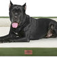 Comfort Expression XXL Orthopedic Dog Bed for Extra Large Dogs, Orthopedic Foam Dog Beds Washable, Waterproof Pet Sofa Couch with Removable Cover & Non-Slip Bottom(XX-Large,Light Green)
