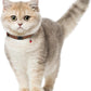 Breakaway Cat Collar Leather with Removable Bell - 13 Colors Available - Soft Adjustable Girl Boy Safety Lightweight Pet Kitten Collars Pink Brown Blue Green Red Orange Black (Cognac)