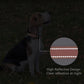 Reflective Dog Collar Padded with Soft Neoprene Breathable Quick Release Basic Dog Collars for Puppy Small Dogs Coral