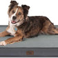 Orthopedic Dog Bed for Large Dogs, Big Waterproof Dog Bed Washable Pet Bed for Large Sized Dogs with Egg Crate Foam Pet Bed Mat, Removable Oxford Cooling Cover, Grey