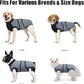 Idepet Dog Recovery Suit Female,Dogs Onesie Suit Surgery Male Breathable Pet Bodysuit for Spay Neuter E-Collar & Cone Alternative Surgical Suit Puppy Abdominal Anti Licking Wounds Shirt (Gray, XL)