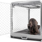 DIGGS Revol Collapsible Dog Crate with Wheels - Premium Portable Dog Crate - Safe, Stylish, and Convenient Indoor Kennel (Ash, Large)