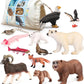 Volnau Safari Animal Figurines Toys 12PCS North America Figures Zoo Pack for Toddlers Kids Christmas Decoration Gift Preschool Educational Bald Eagle Bear Salmon Salamander Jungle Forest Cake Topper