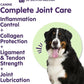 Dr. Bill’s Canine Complete Joint Care – Hip & Joint Supplement for Dogs for Mobility, Muscle Support & Inflammation Relief – Green Lipped Mussel, Chondroitin, Collagen, Omega-3 – Powder, 340g