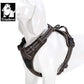 TRUE LOVE Adjustable No-Pull Dog Harness Reflective Pup Vest Harnesses Comfortable Control Brilliant Colors Truelove TLH5651(Brown,XS)
