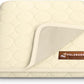 Dog Cooling Mat- Ice Silk Summer Comfort, Self Cooling, Non-Slip Dog Pad, Durable & Washable, Mat for Medium Dogs 50x65 cm, Support Shelter Dogs with Every Purchase (Beige)