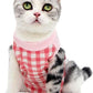 Cat Recovery Suit for Abdominal Wounds or Skin Diseases, Cat Onesie for Cats After Surgery Female Kitten Recovery Suit, Breathable E-Collar Alternative for Cats After Spay Anti Licking Wounds