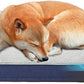 Orthopedic Memory Foam Dog Bed,Cooling Dog Beds for Large Dogs,Washable Pet Beds for Crate with Plush Cover, Waterproof Lining, L(35inch)