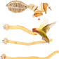 3Pcs Bird Toys Perch Stand for Cage, Natural Parrot Toys, Small Chewing Sticks Toys Bird Cage Accessories for Conures Parakeets Cockatoo African Grey Parrots (3PCS)